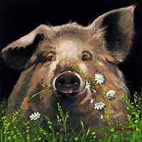 She Loves Me, She Loves....