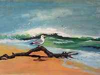 Washed Up and Nowhere to Grow